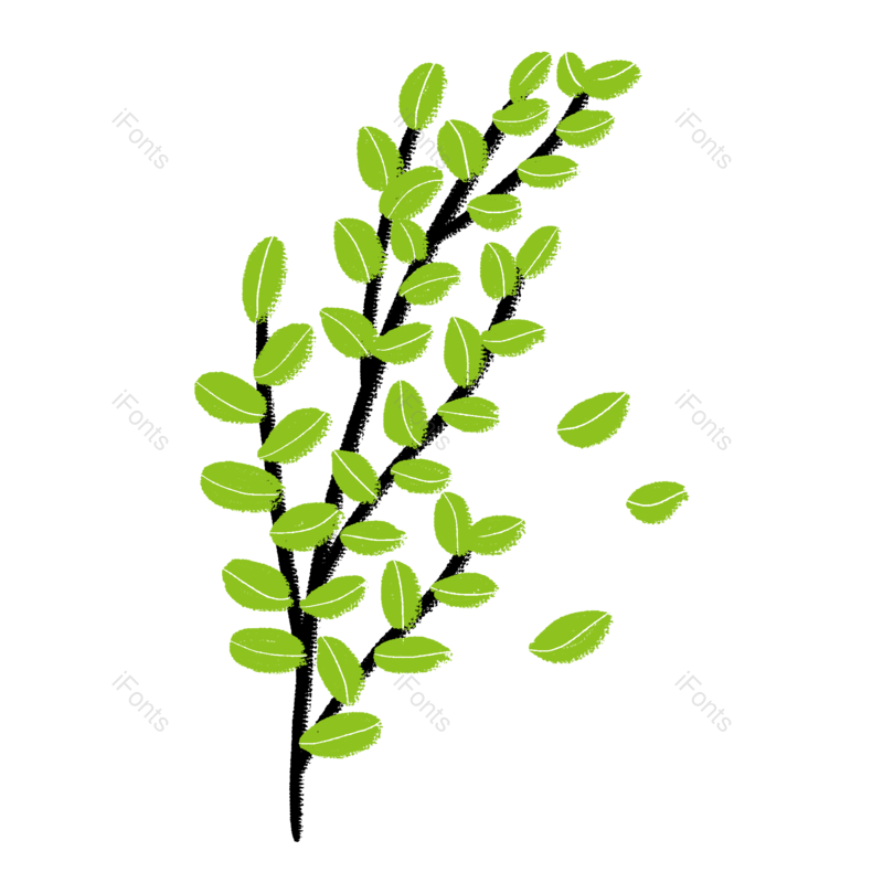 装饰图片,图案元素,绿叶PNG,小草免抠素材